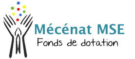 Mecenat MSE Logo